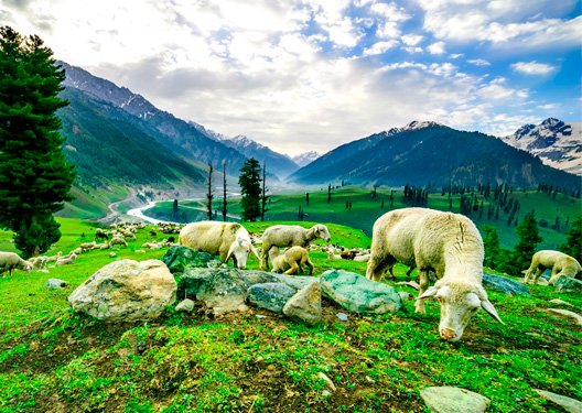 traveldilse-Spectacular Kashmir